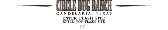 circle dug ranch : candelaria, tx.